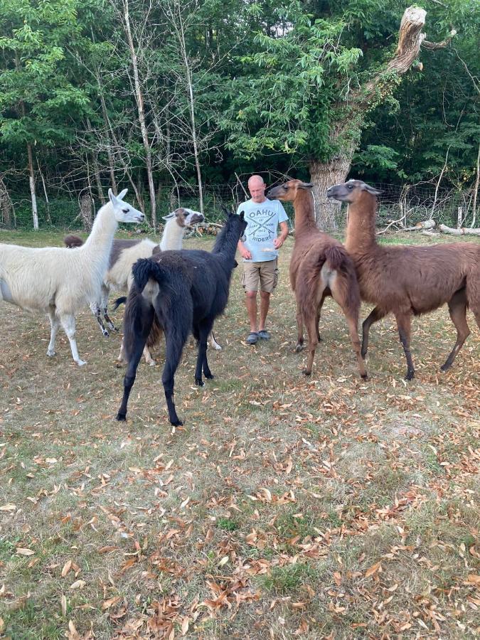 The Llama Farm France * Saint-Cyr-Les-Champagnes