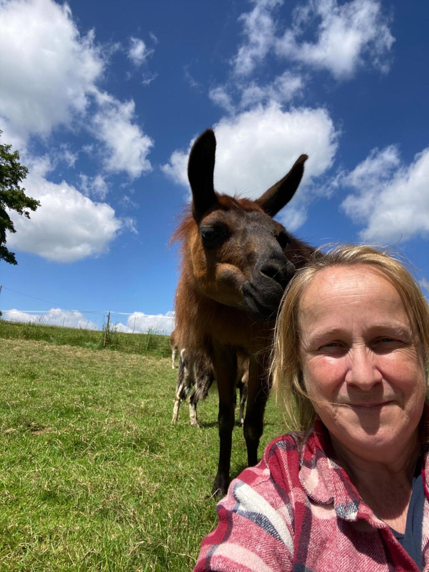 The Llama Farm France