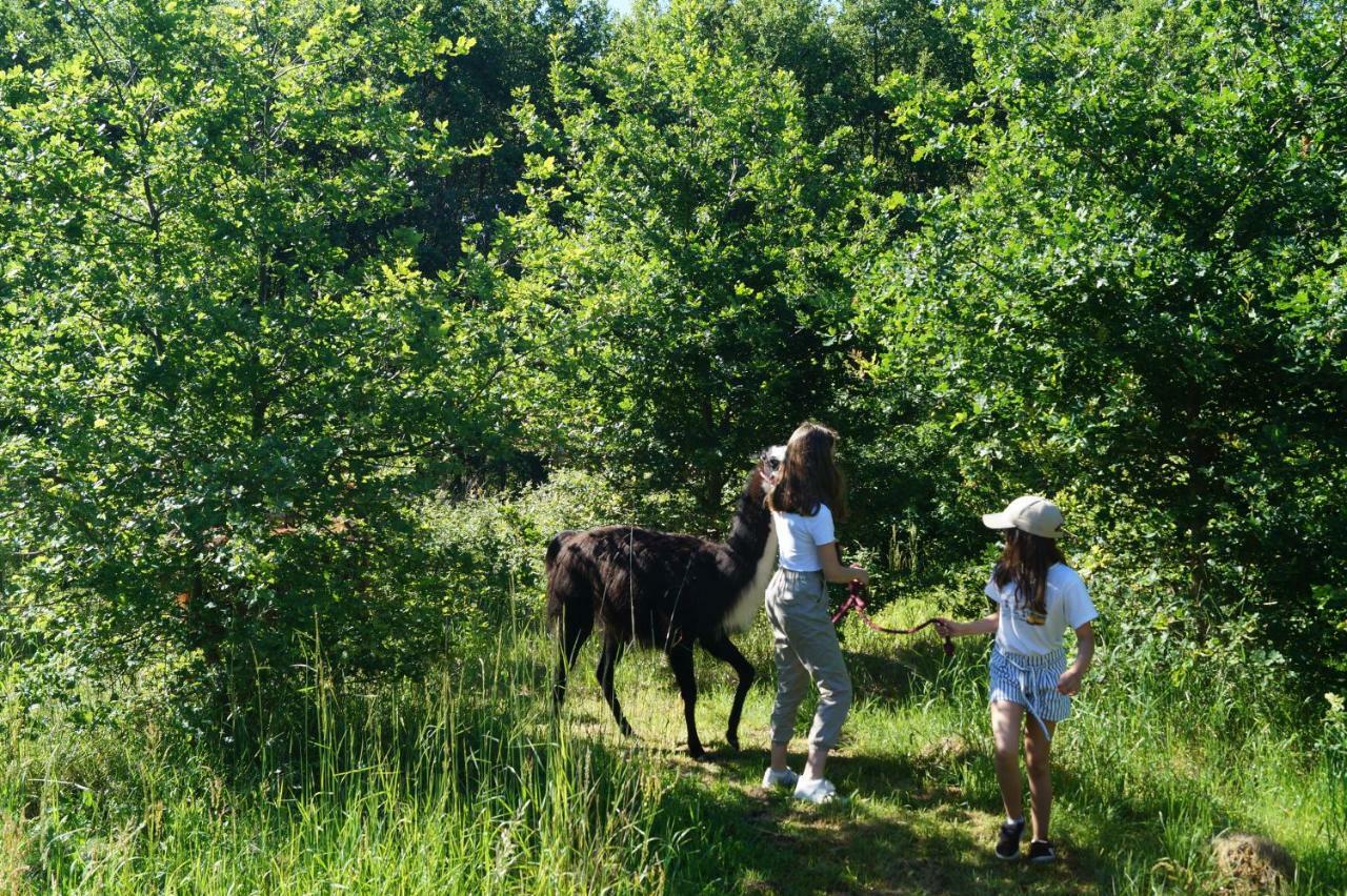 The Llama Farm France * Saint-Cyr-Les-Champagnes