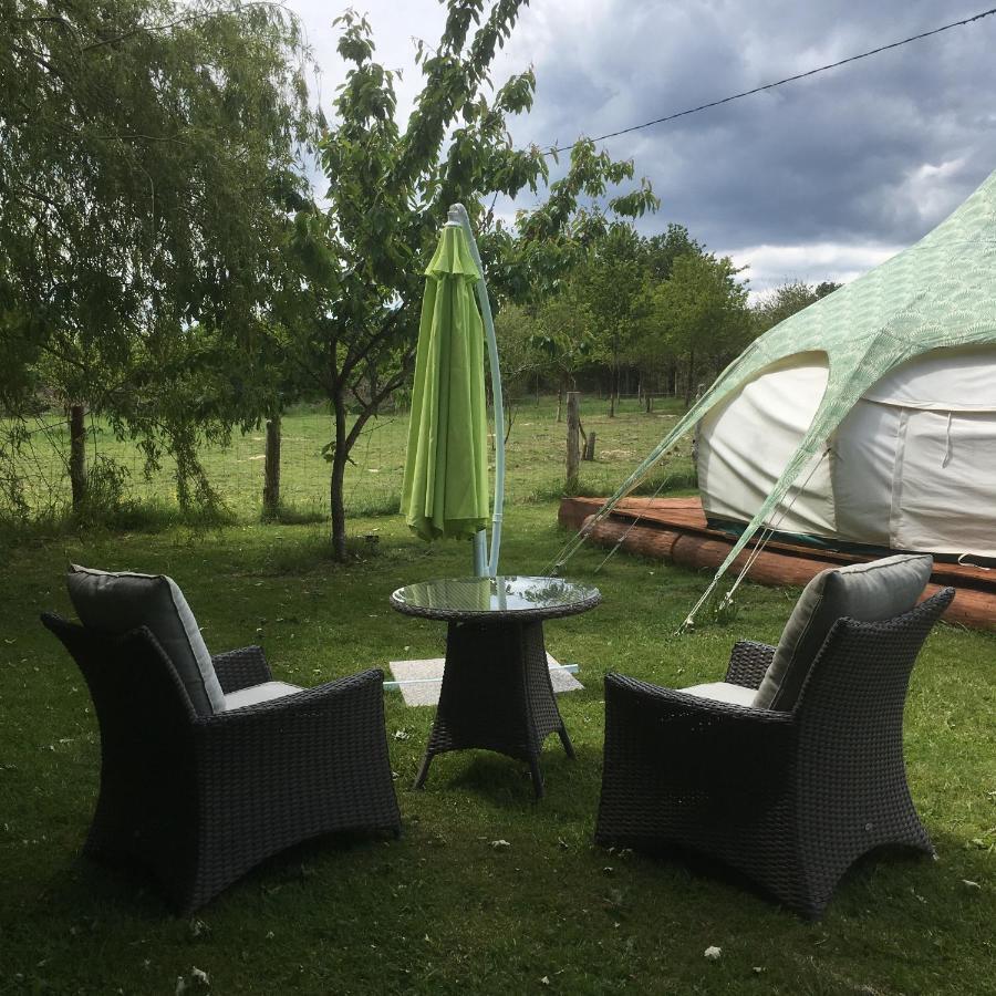 The Llama Farm France Farm stay *