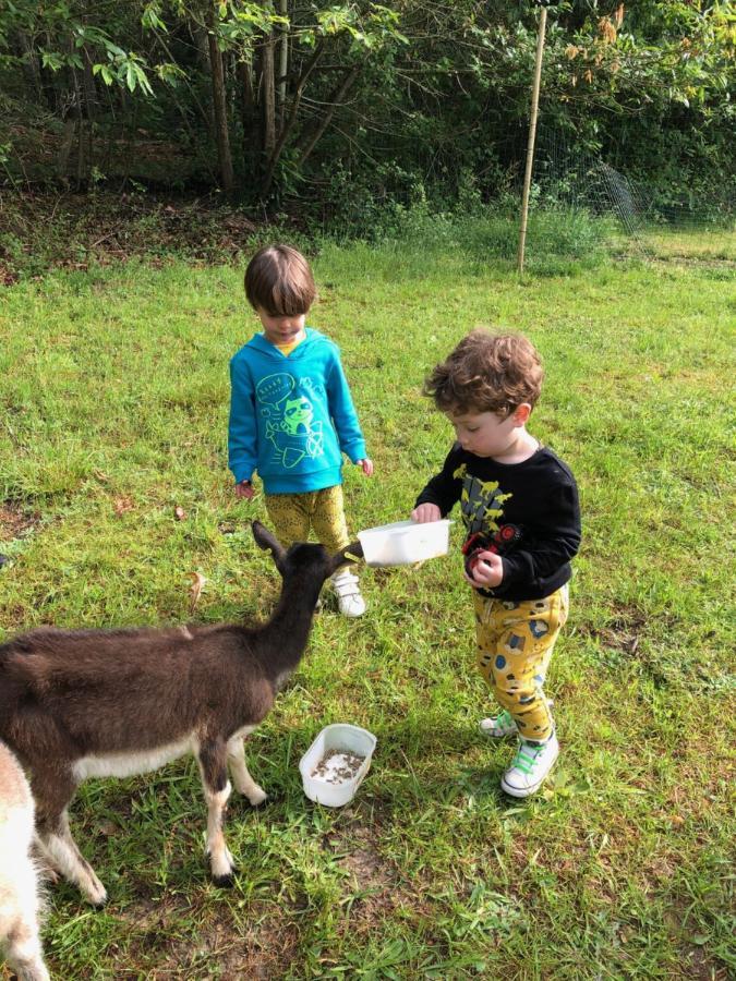 Farm stay The Llama Farm France *