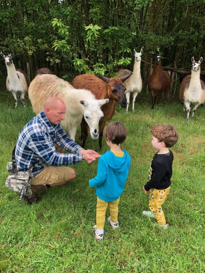 The Llama Farm France Farm stay *
