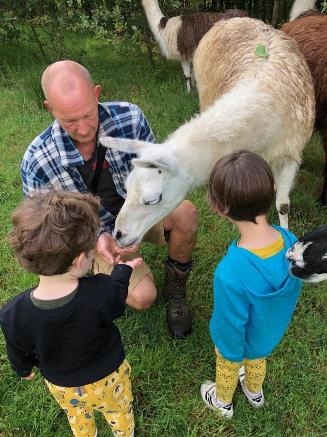 The Llama Farm France Farm stay Saint-Cyr-Les-Champagnes