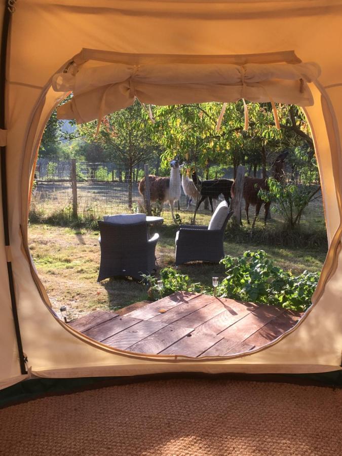 Farm stay The Llama Farm France *